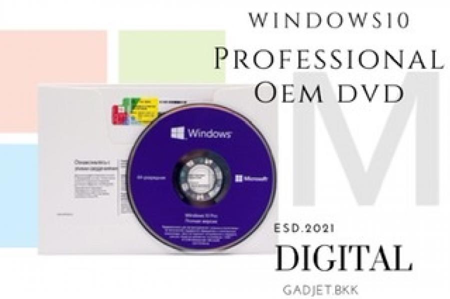 Window 10 Professional OEM DVD