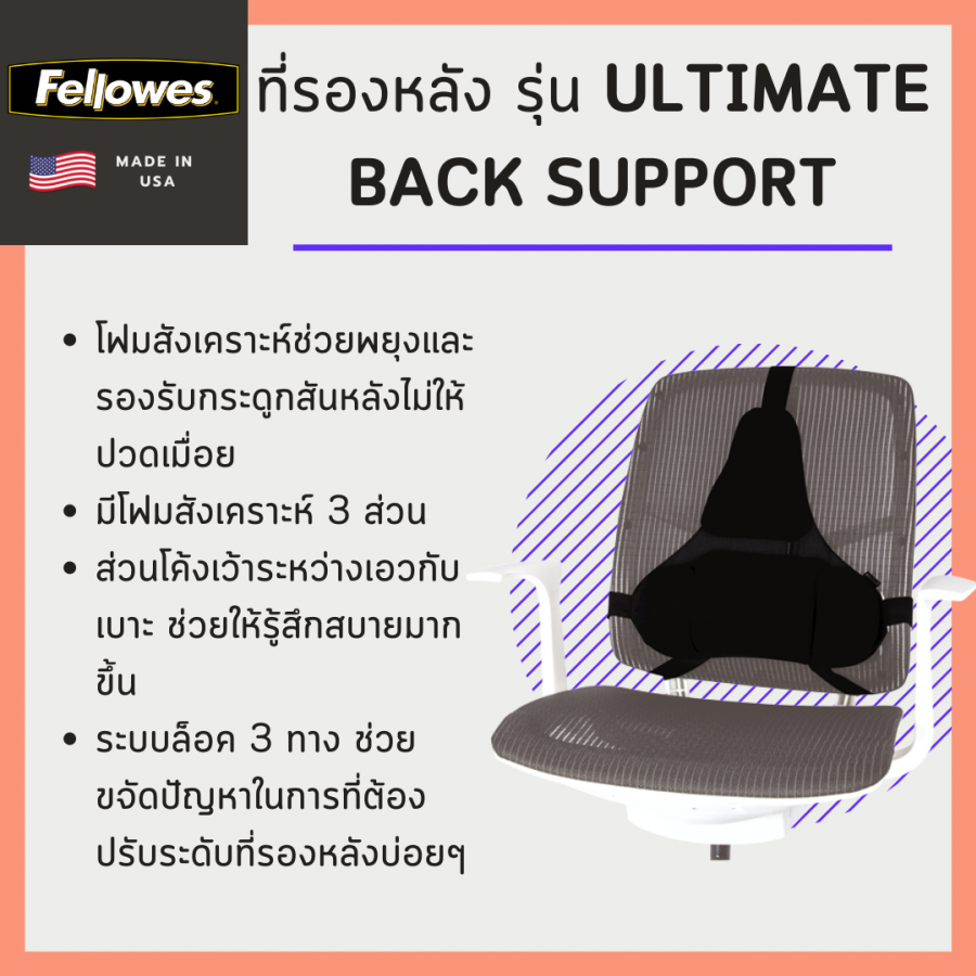 Ultimate Back Support