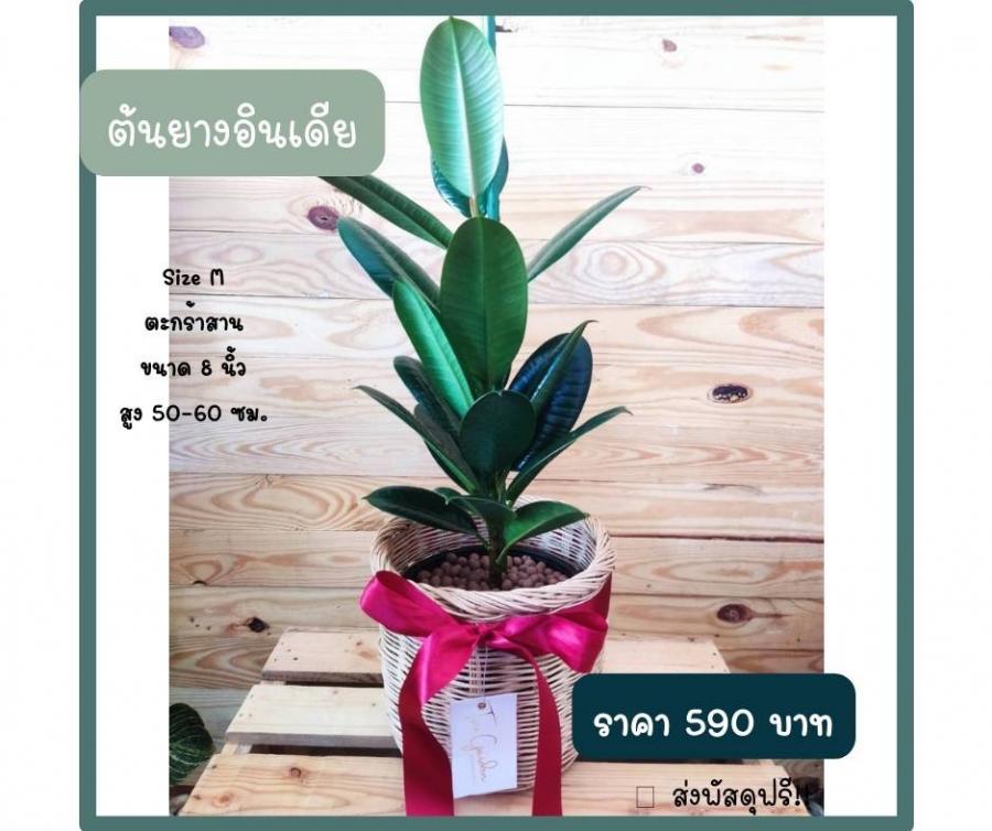 Size M ตะกร้าสาน ขนาด 8 นิ้ว