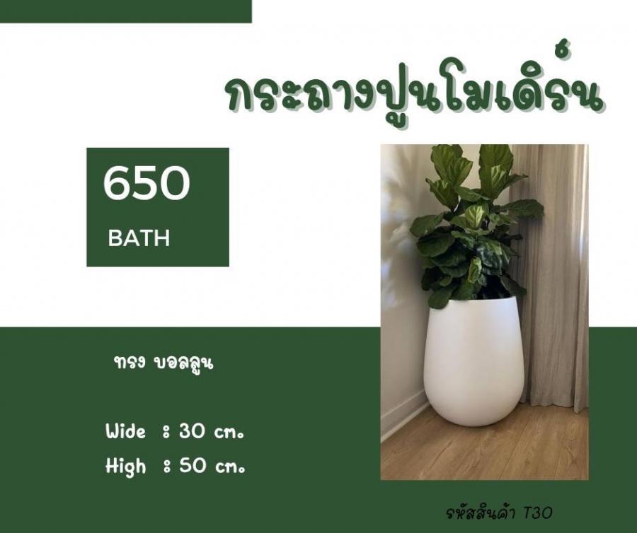 ทรงบอลลูน