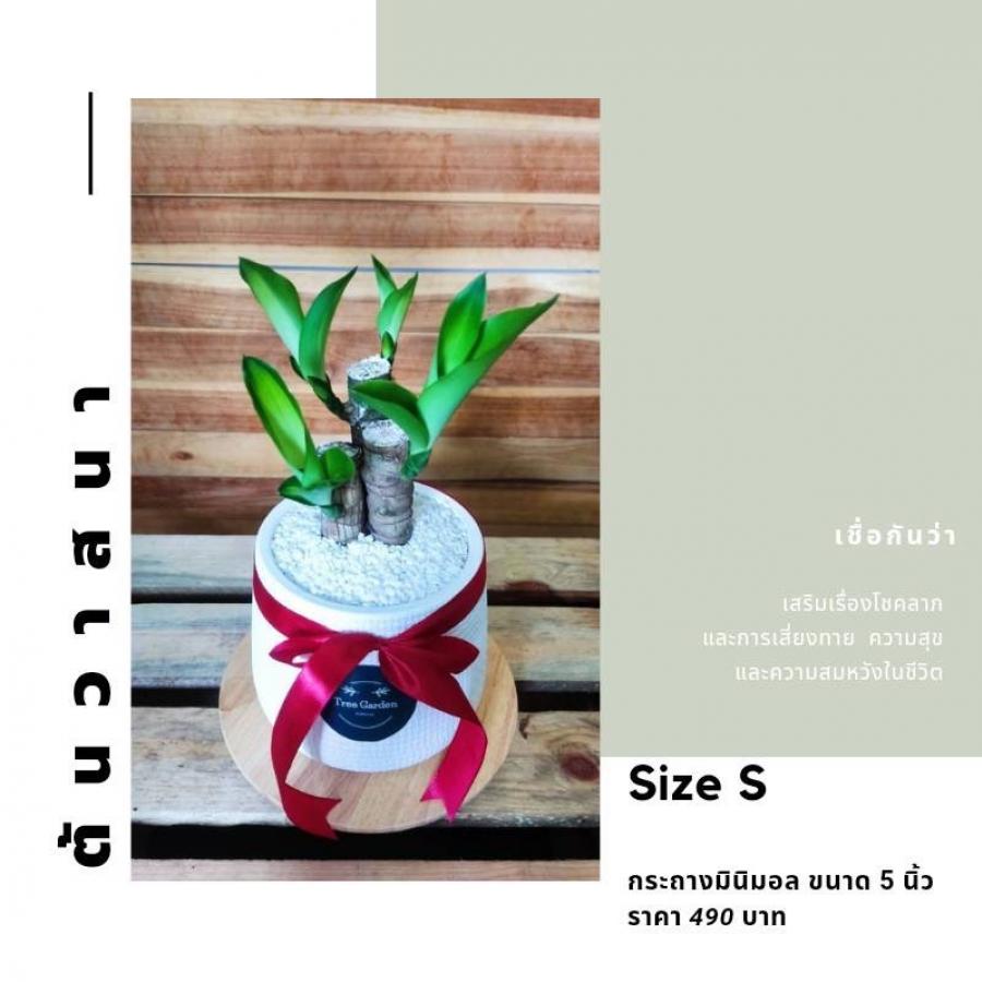 Size L ตะกร้าสาน ขนาด 5 นิ้ว