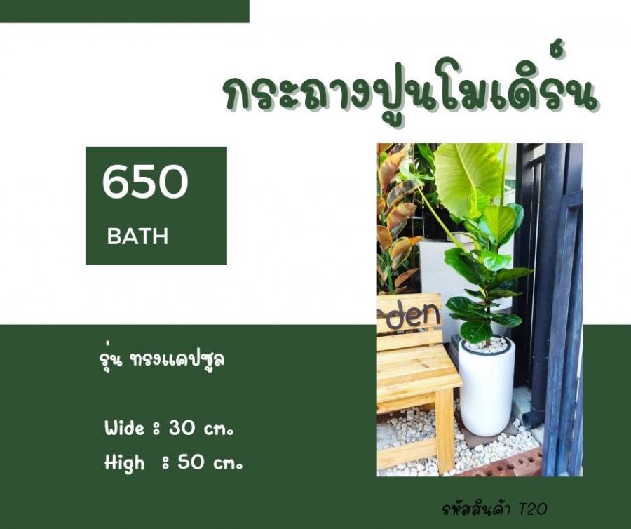 รุ่น ทรงแคปซูล 