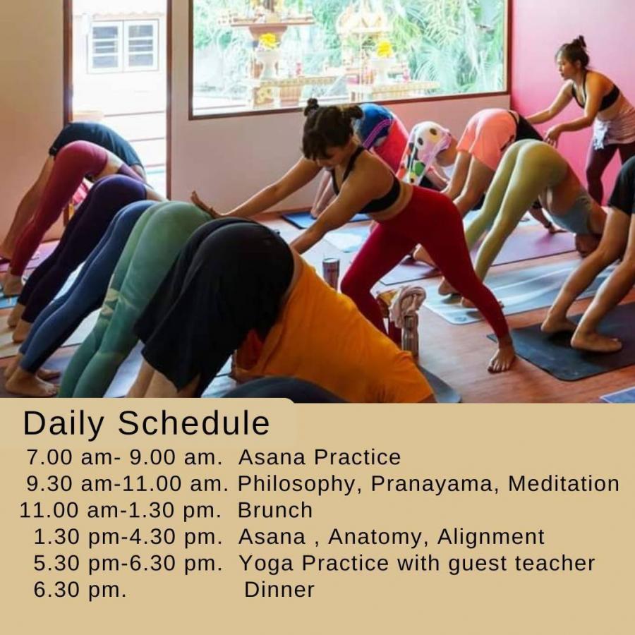 Om Ganesha Yoga School is officially recognized and licensed by Thai Ministry of Education and Yoga Alliance. Learn from top yoga teachers in Chiang Mai and be awarded a certificate from Yoga Alliance. 