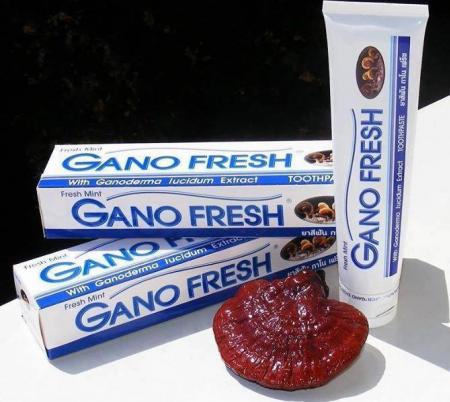 ยาสีฟัน กาโนเฟร็ช  ผสมเห็ดหลินจือ  Gano Fresh